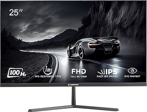 RAMPAGE 25 RM25R100 IPS FHD PC FLAT 1Ms 100Hz HDMI,VGA GAMING MONITÖR